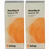 Synergon Komplex 162 Anacardium N Tropfen 50 ml Tropfen