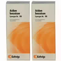 Synergon 66 Acidum Benzoicum Tropfen