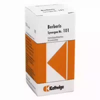 Synergon Komplex 101 Berberis Tabletten 100 St