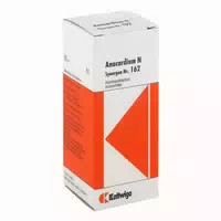 Synergon Komplex 162 Anacardium N Tropfen 50 ml Tropfen