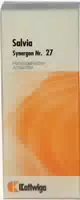 Synergon Komplex 27 Salvia N Tropfen 50 ml Tropfen
