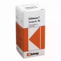 Synergon Komplex 4a Echinacea T Tabletten 100 St Tabletten