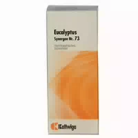 Synergon Komplex 73 Eucalyptus Tropfen 50 ml Tropfen