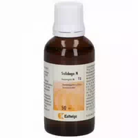 Synergon Komplex 78 Solidago N Tropfen 50 ml Tropfen