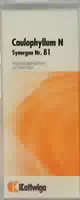 Synergon Komplex 81 Caulophyllum N Tropfen 50 ml Tropfen