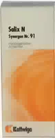 Synergon Komplex 91 Salix N Tropfen 50 ml Tropfen