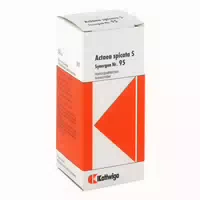 Synergon Komplex 95 Actaea Spicata S Tropfen 50 ml Tropfen