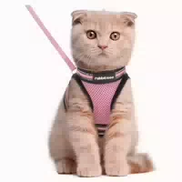 Katzengeschirr Set Verstellbar Ausbruchsicher m 1er Pack R 1 st