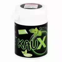 Kaux Zahnpflegekaugummi Spearmint mit Xy 40 st