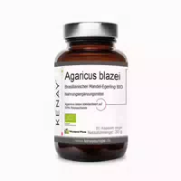 Agaricus Blazei Brasilianischer Mandel Egerling Kenay