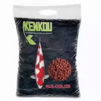 Kenkou Koi Color
