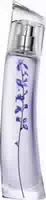 40 ml