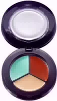 Kevyn Aucoin Face Forward