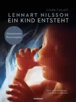 Ein Kind Entsteht