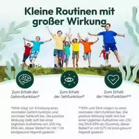 Kindgesund Algenöl Tropfen