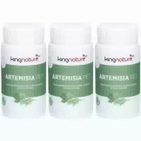 Kingnature Bio Artemisia Pet