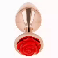 Kink Analplug mit Roter Rose