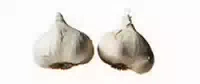 Knoblauch