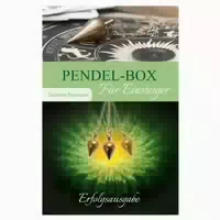 Pendel Box Für Einsteiger 1 St