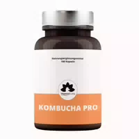 Kombucha Kapseln mit Vitamin E Hochdosiert von Vitaminfuchs