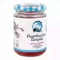 Kombucha Teepilz