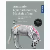Anatomie, Gymnastizierung, Muskelaufbau