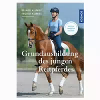 Grundausbildung Des Jungen Reitpferdes