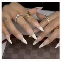 Künstliche Fingernägel Stiletto Schwarz Silber 3d Crystal Ag 1 st