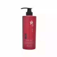 Kumano Cosme Shikioriori Thubaki Body Soap 600ml