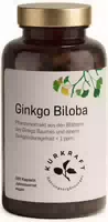 Kurkraft© Ginkgo Biloba – 100 mg Extrakt 50:1 – 365 Kapseln – Jahresvorrat – Vegan
