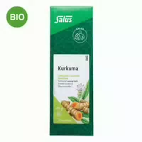 Kurkuma Tee Bio Salus 100 G