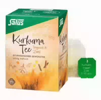 Kurkuma Tee Ingwer & Zimt Bio Salus Filterbeutel