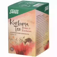 Kurkuma Tee Rooibos & Kardamom Bio Salus Fbtl 15 Stück