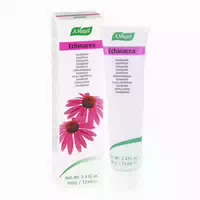 Echinacea Zahnpasta A Vogel 100 G