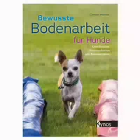 Bewusste Bodenarbeit Für Hunde