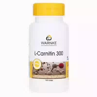 L Carnitin 300 Kapseln 100 St