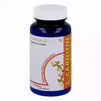 L Carnitin Pulver 100 g