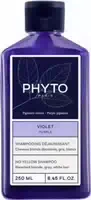 Phyto Purple Farbkorrektur Shampoo
