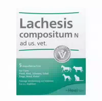 Lachesis Compositum N Ampullen Vet für Tiere