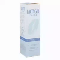 Lactacyd Derma Waschsyndet 250 Ml Körperpflege