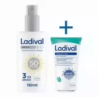 Ladival Aktiv Sonnenschutz Spray Lsf 50
