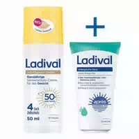 Ladival Anti Pigment Getönt Ganzjährige Sonnenschutz Creme Gesicht Lsf 50 50 Ml Creme