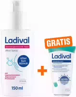 Ladival Sonnengestresste Haut Akut Spray 150 ml