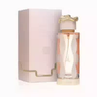100 ml