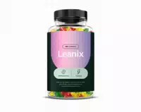 Leanix