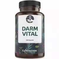 Darm Vital Probiotika Kapseln 360 Kapseln Xl Vorrat mit 20 Darmbakterien Stämme Magensaftresistent