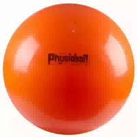 Ledragomma Fitnessball Original Pezziball