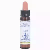 Bachblüten White Chestnut Healing Herbs 10 Ml