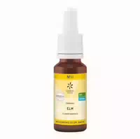 Bachblüten No 11 Elm Bio 20 Ml