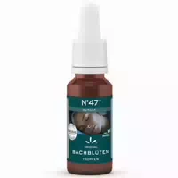 47 Schlaf Bachblüten Tropfen 20 ml Tropfen zum Einnehmen
